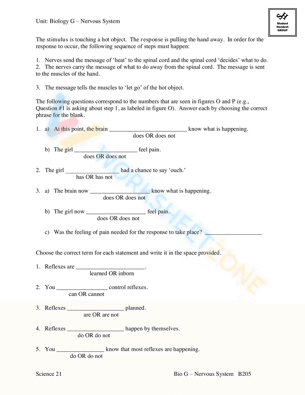 AN INTRODUCTION TO THE NERVOUS SYSTEM - Page 23