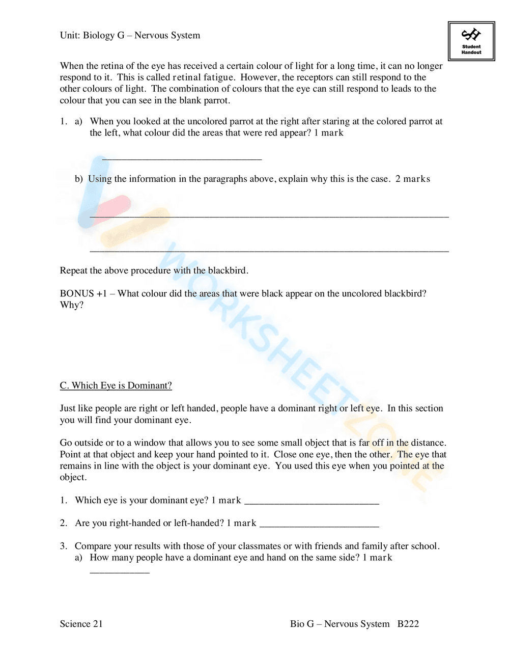 AN INTRODUCTION TO THE NERVOUS SYSTEM - Page 40