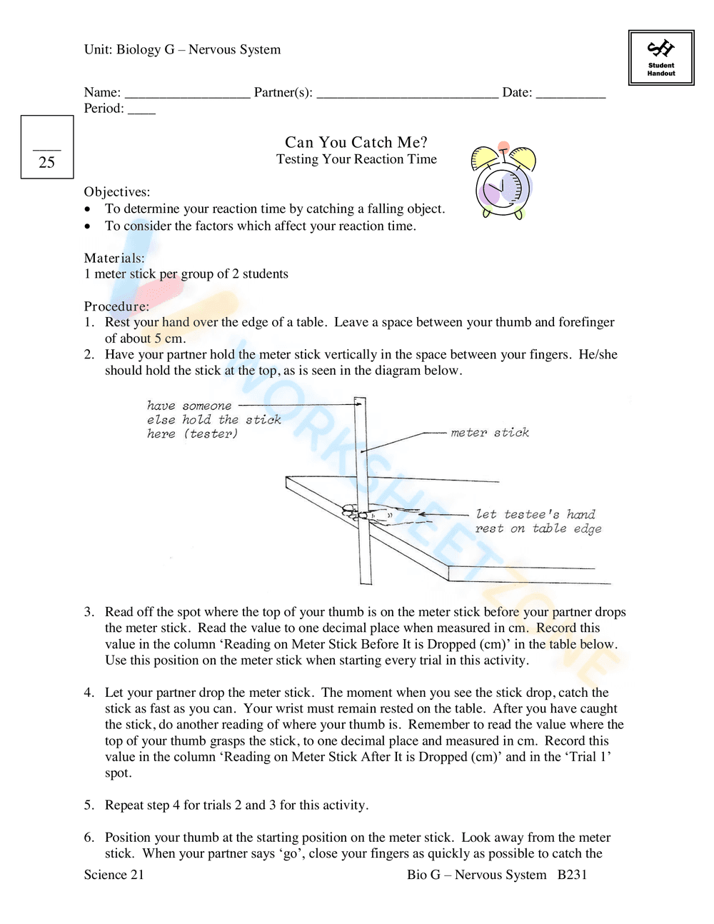 AN INTRODUCTION TO THE NERVOUS SYSTEM - Page 49