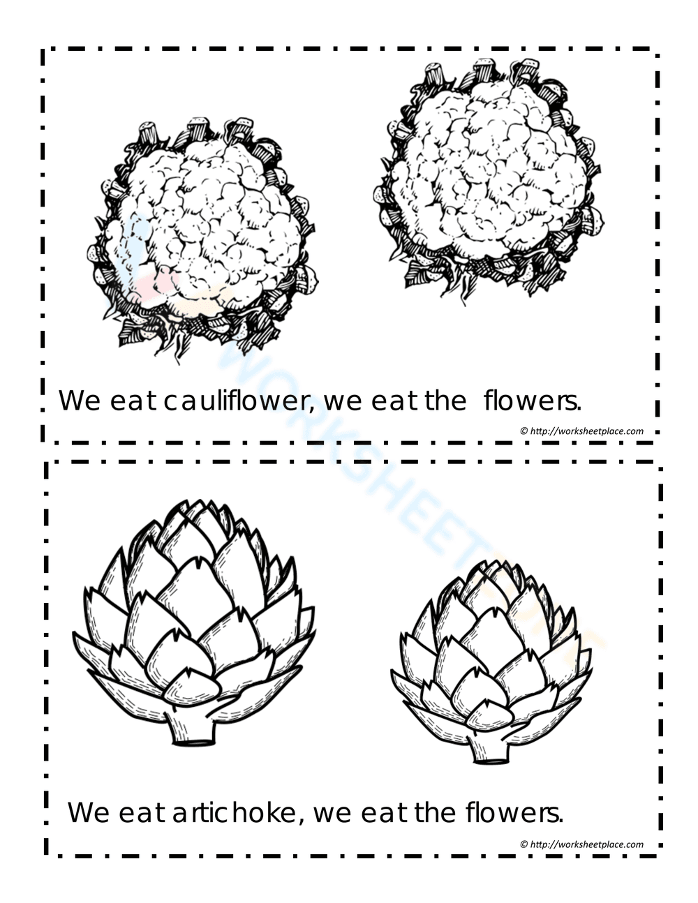 Booklet for Plants we Eat - Page 4
