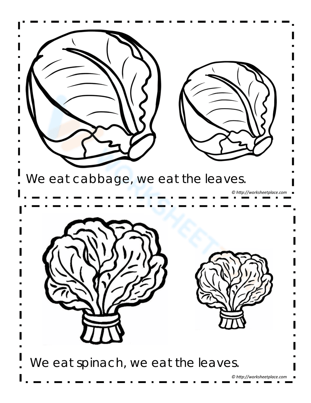 Booklet for Plants we Eat - Page 7