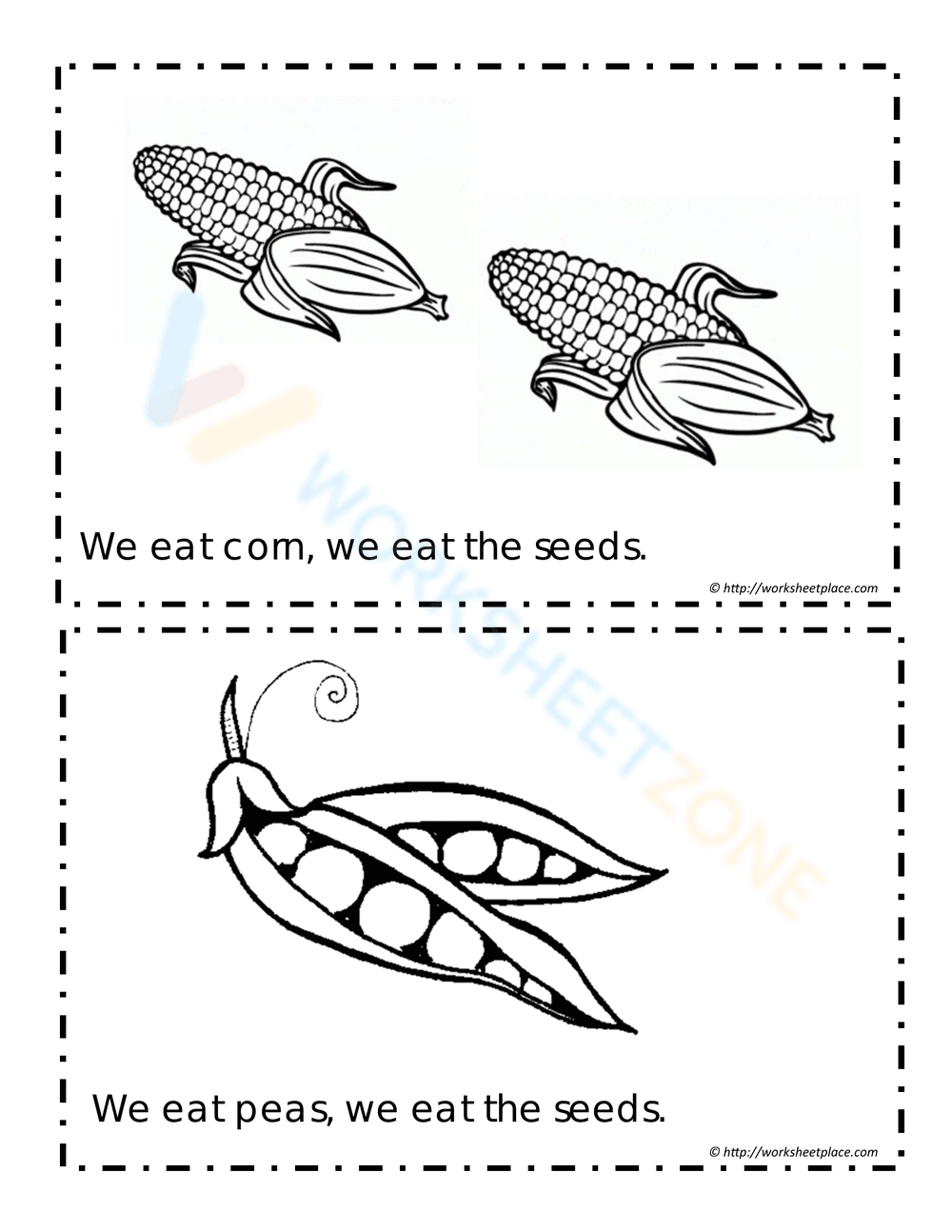 Booklet for Plants we Eat - Page 8