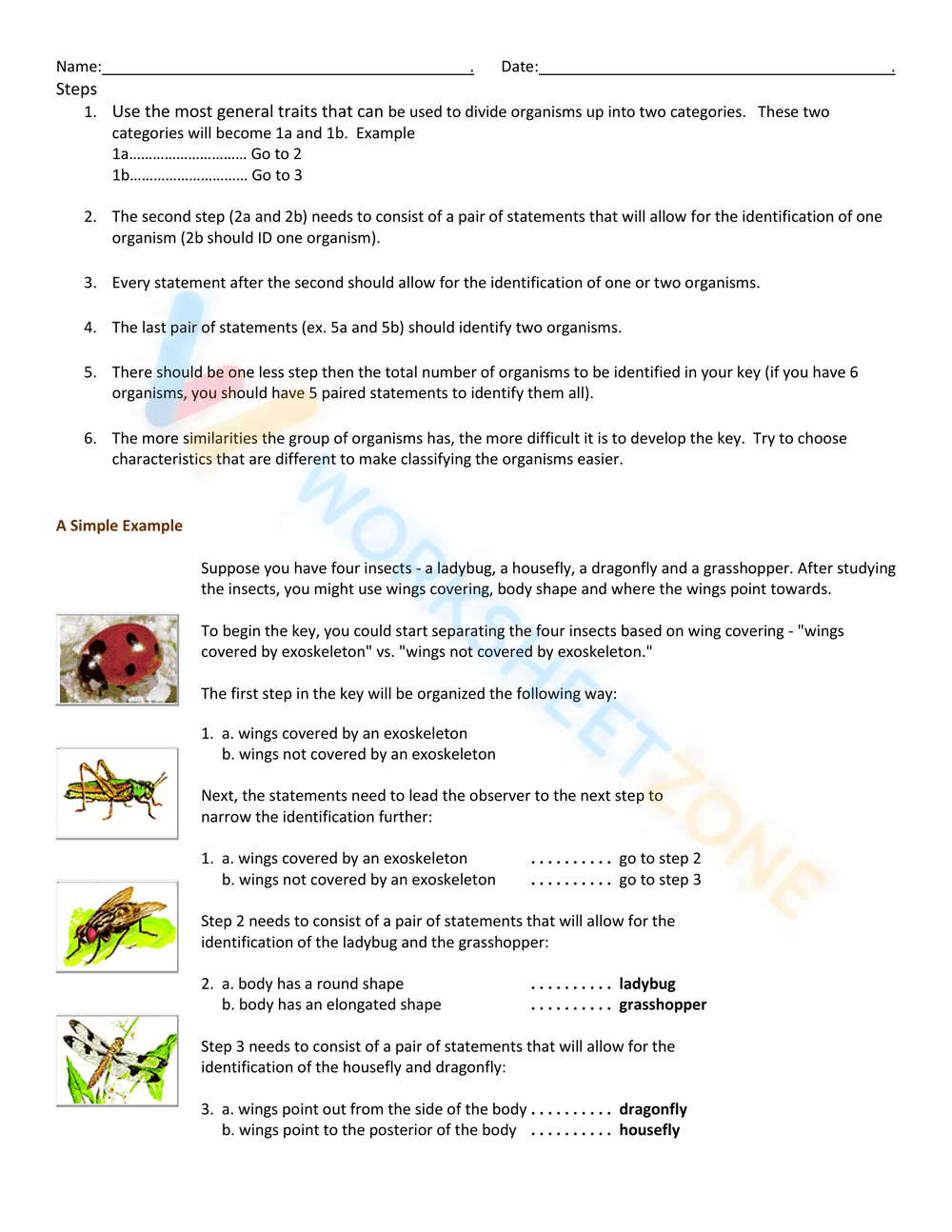 Building a Dichotomous Key - Page 2