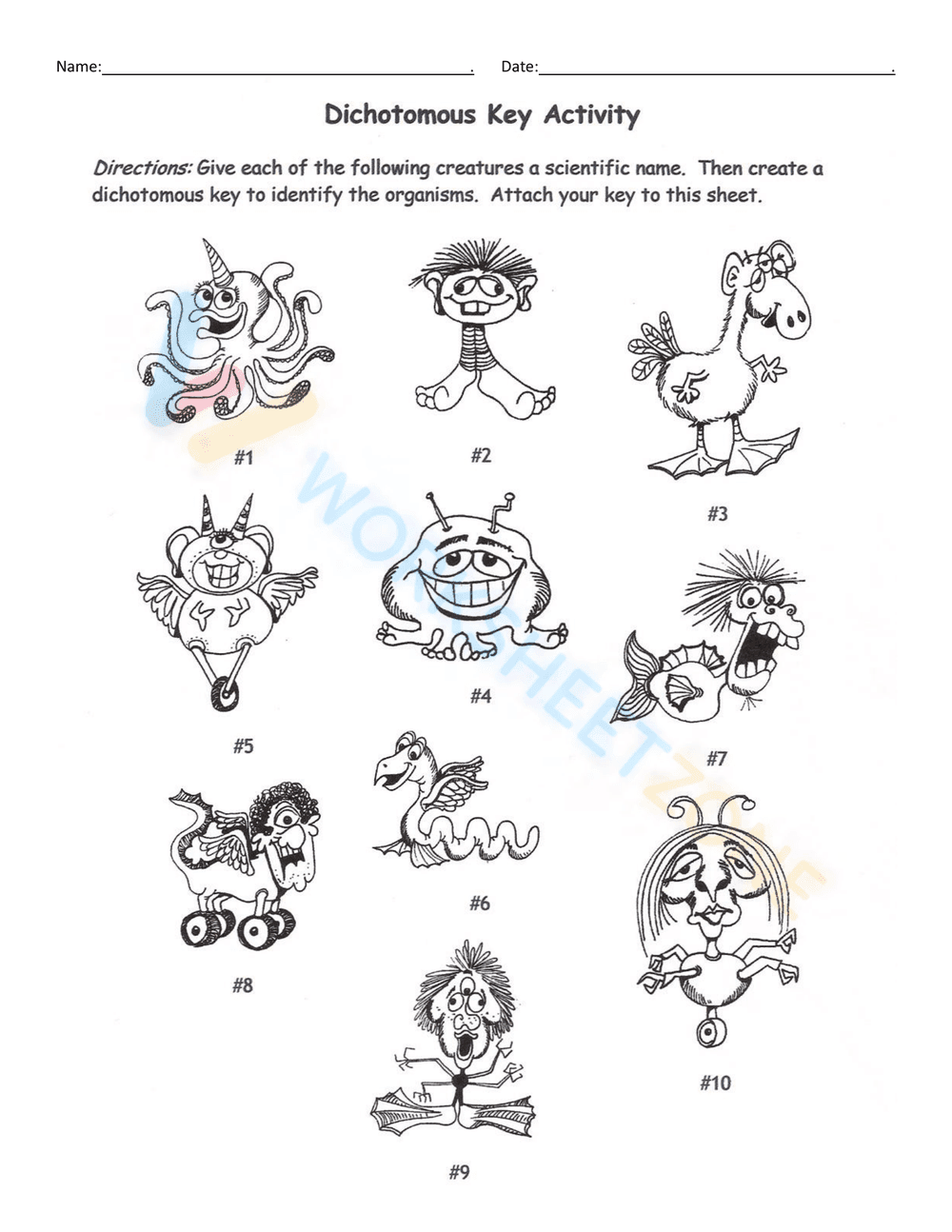 Building a Dichotomous Key - Page 3