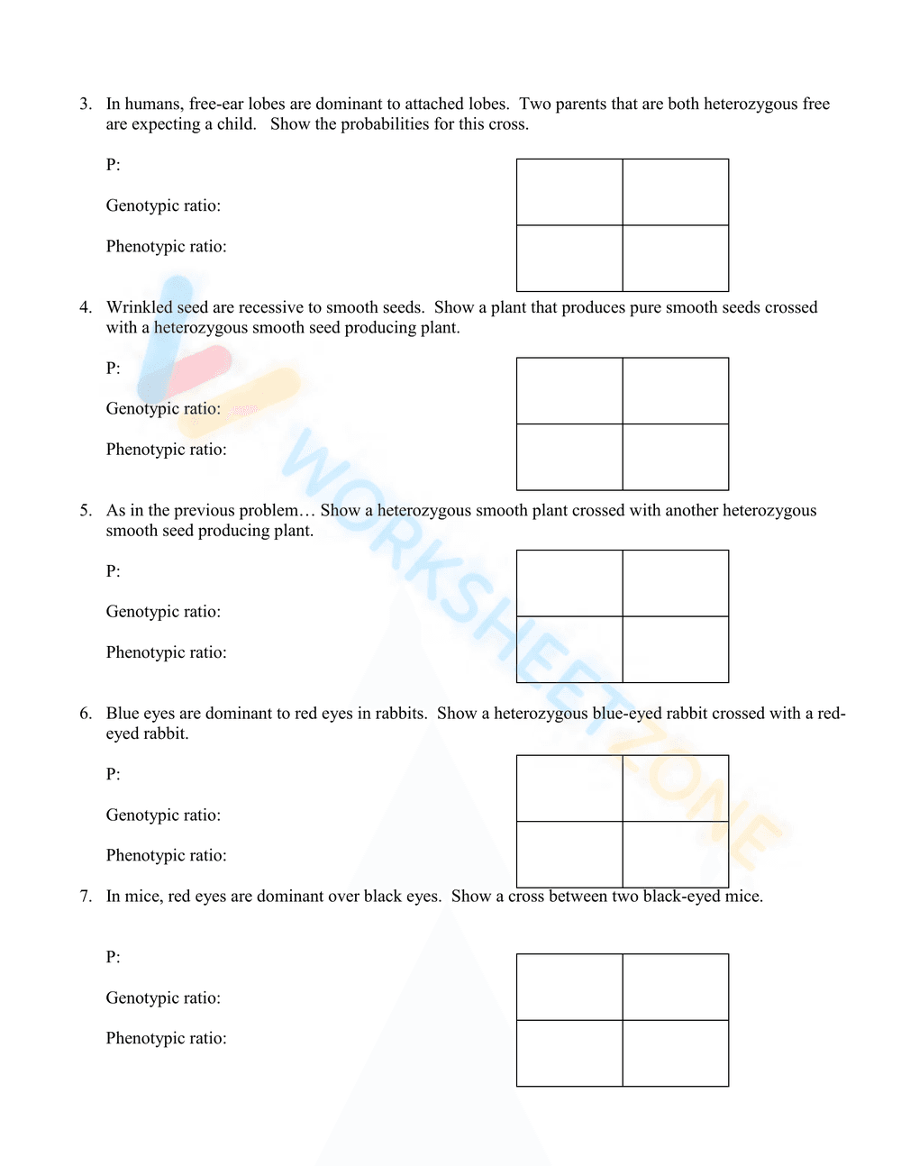 Complete Dominance- Mendelian Genetics - Page 2