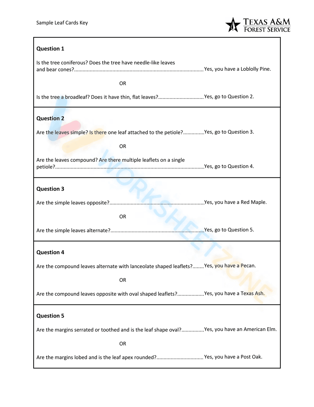 Dichotomous Key Activity - Page 3