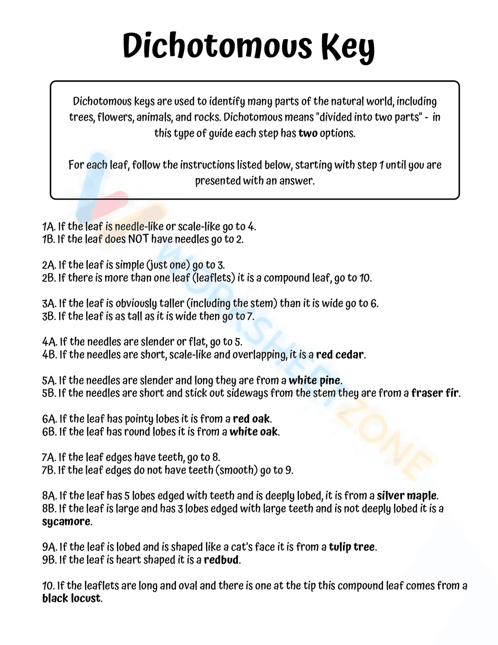 Dichotomous Key for Native Trees - Page 2