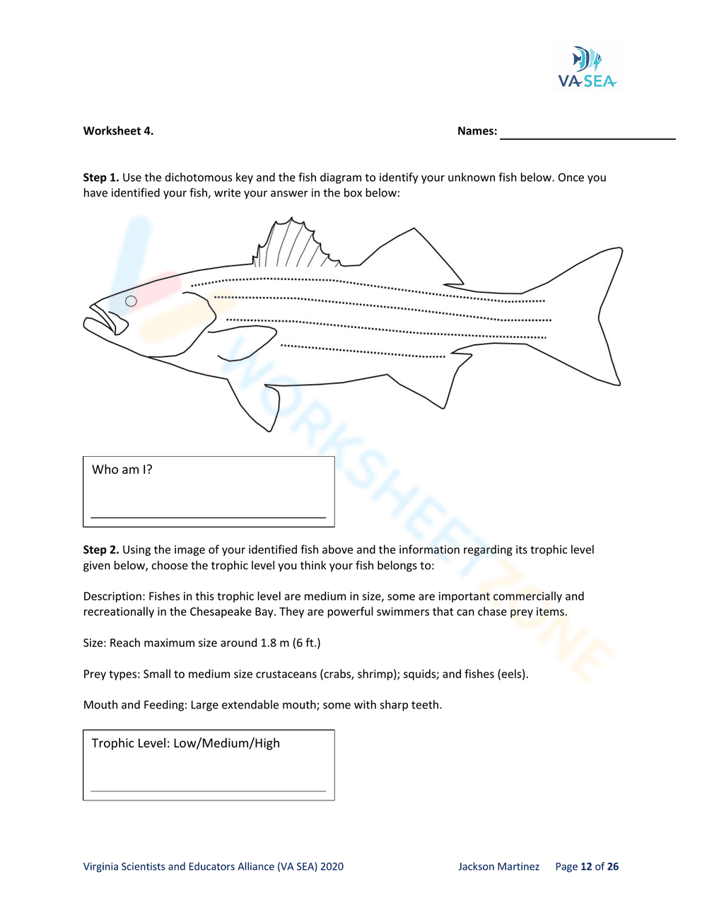 DICHOTOMOUS KEYS - AN ESSENTIAL TOOL FOR FISH DETECTIVES - Page 14