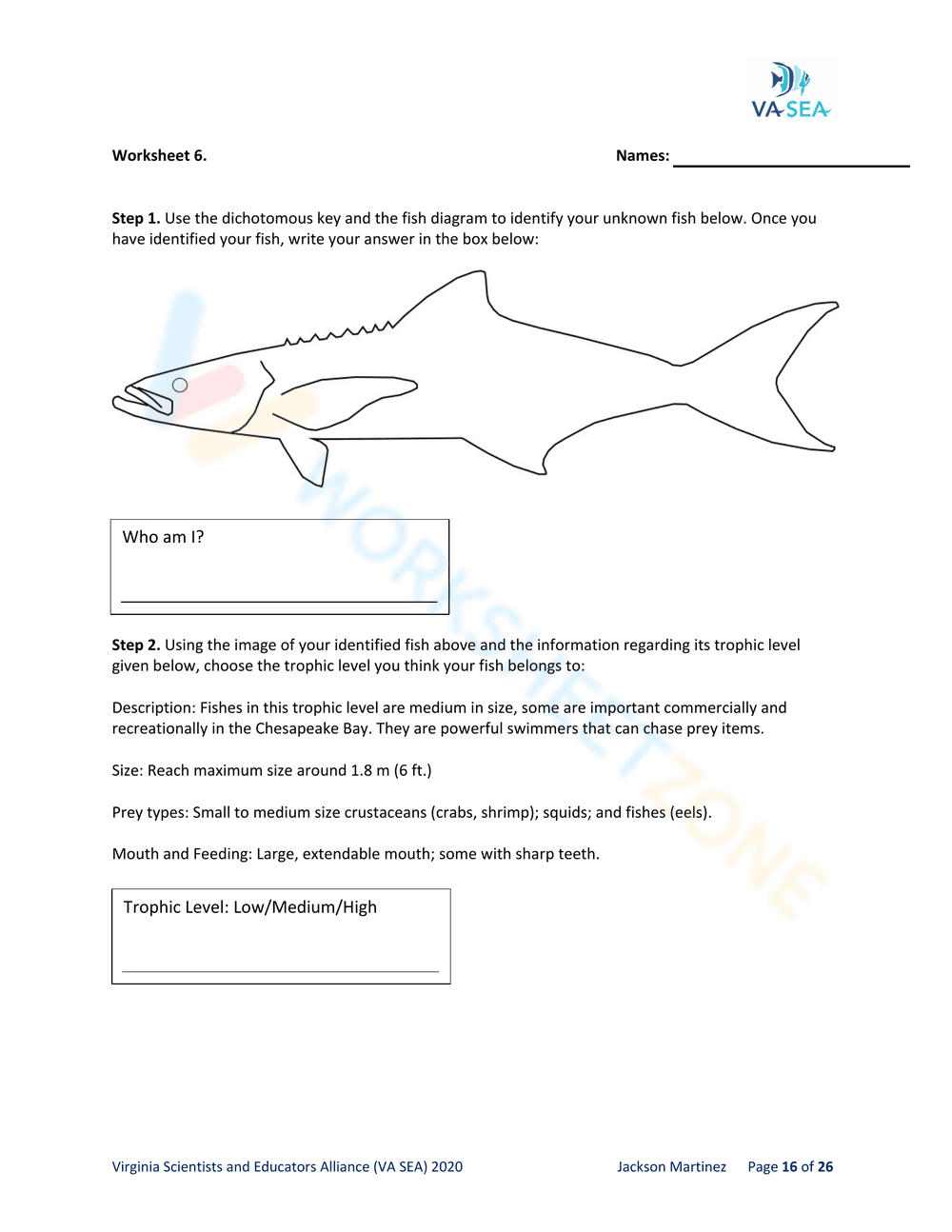 DICHOTOMOUS KEYS - AN ESSENTIAL TOOL FOR FISH DETECTIVES - Page 18