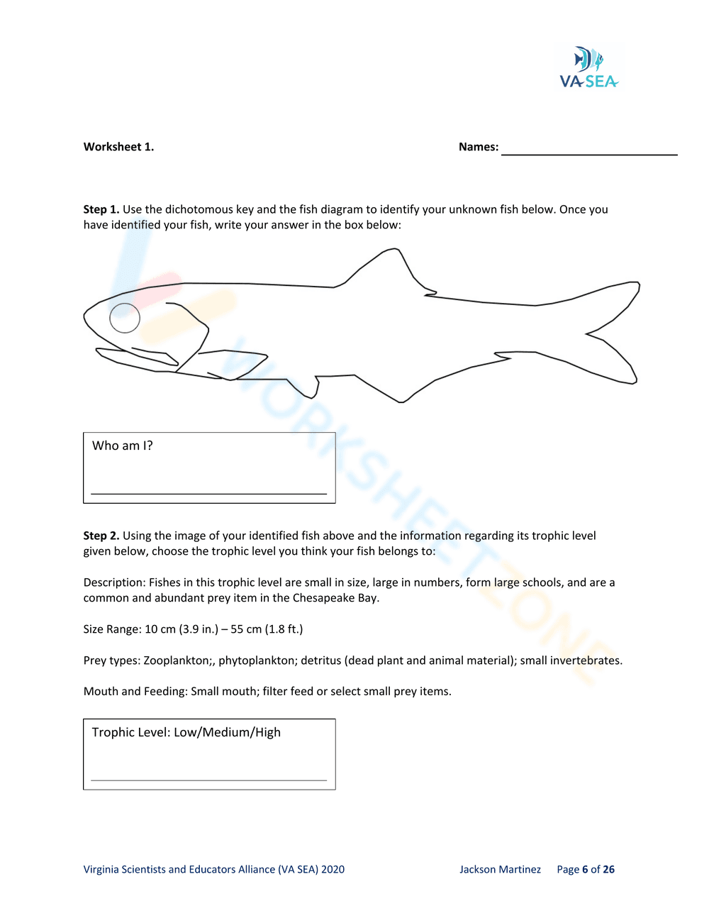 DICHOTOMOUS KEYS - AN ESSENTIAL TOOL FOR FISH DETECTIVES - Page 8