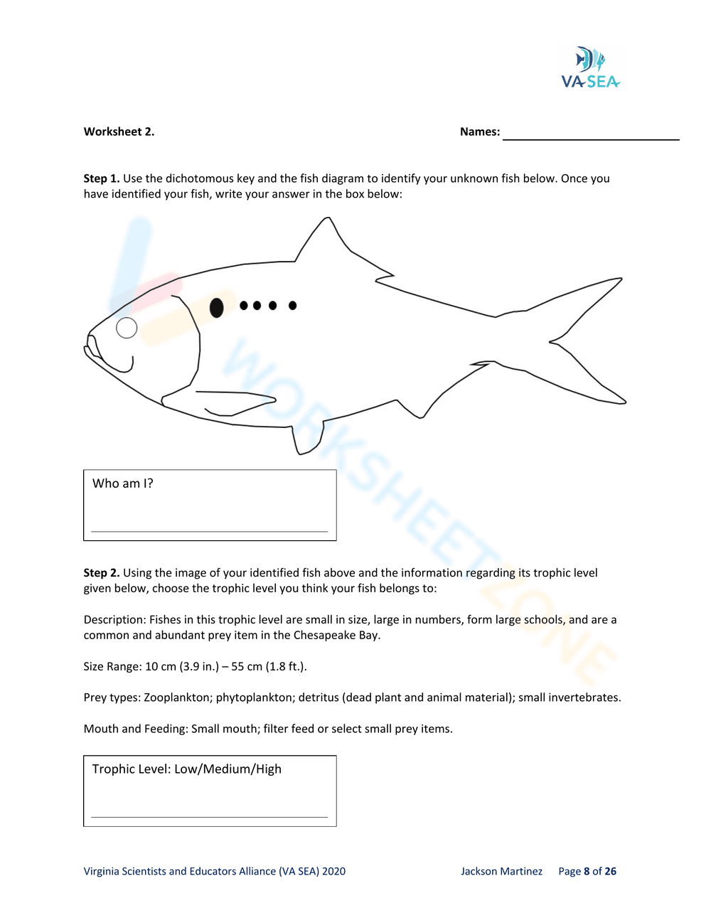 DICHOTOMOUS KEYS - AN ESSENTIAL TOOL FOR FISH DETECTIVES - Page 10