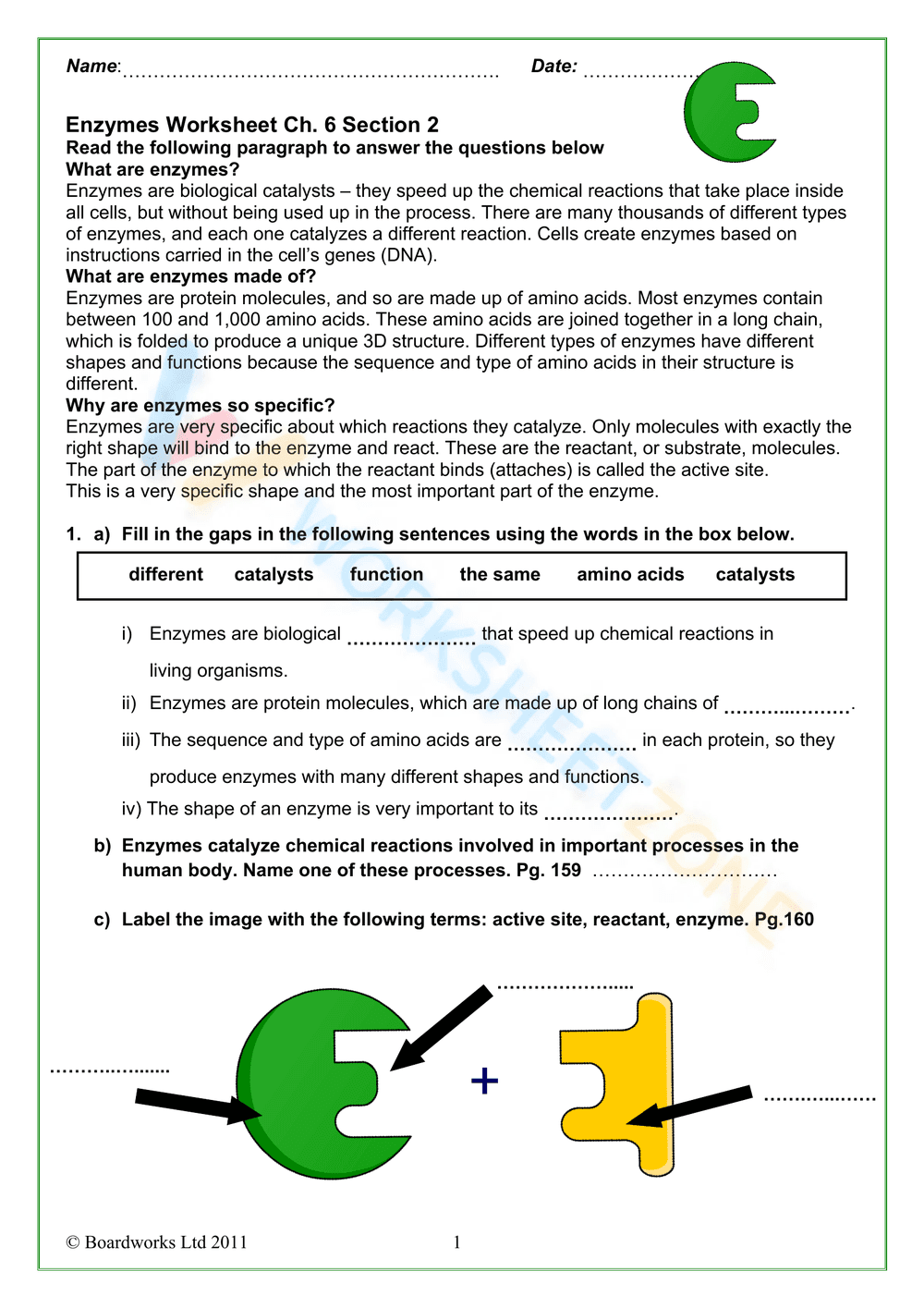 Digestive enzymes - Page 1