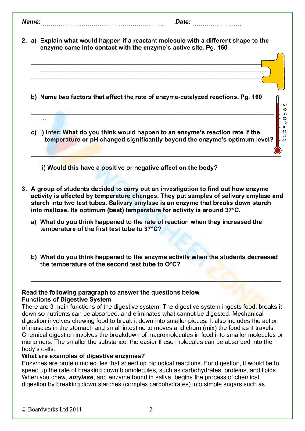Digestive enzymes - Page 2