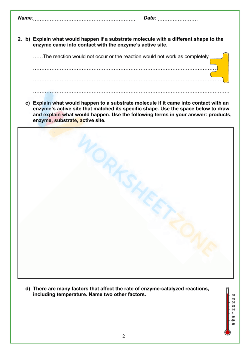 Enzyme review activities - Page 2