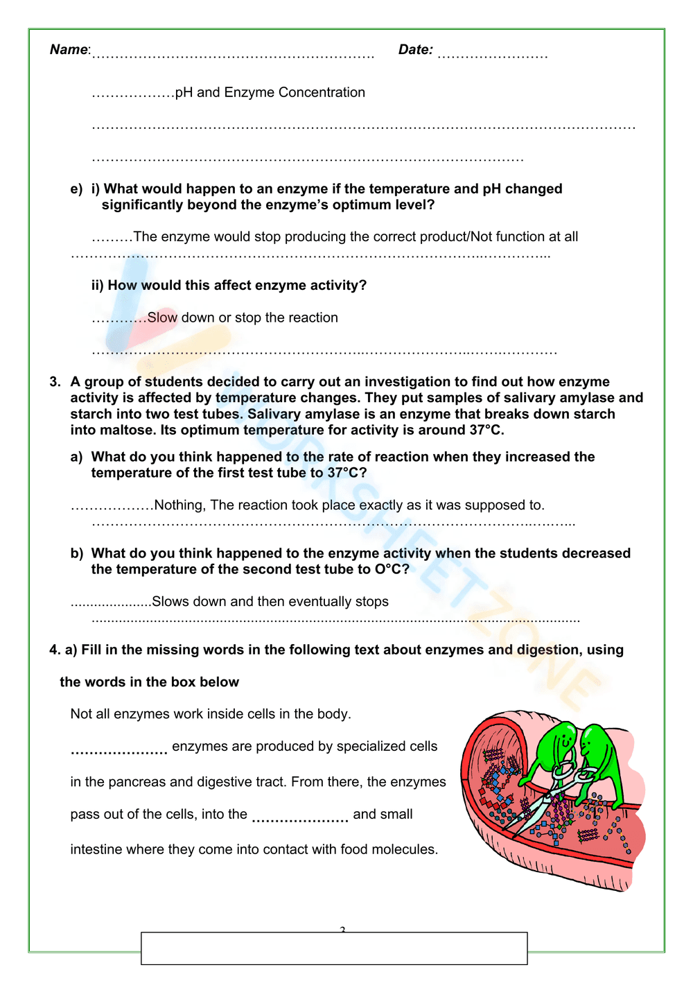 Enzyme review activities - Page 3