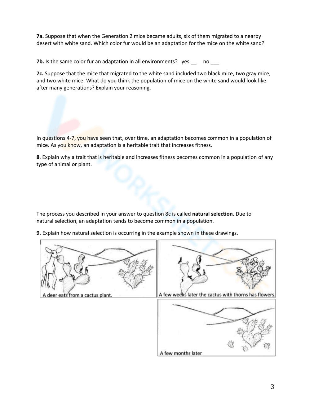 Evolution by Natural Selection - Page 3