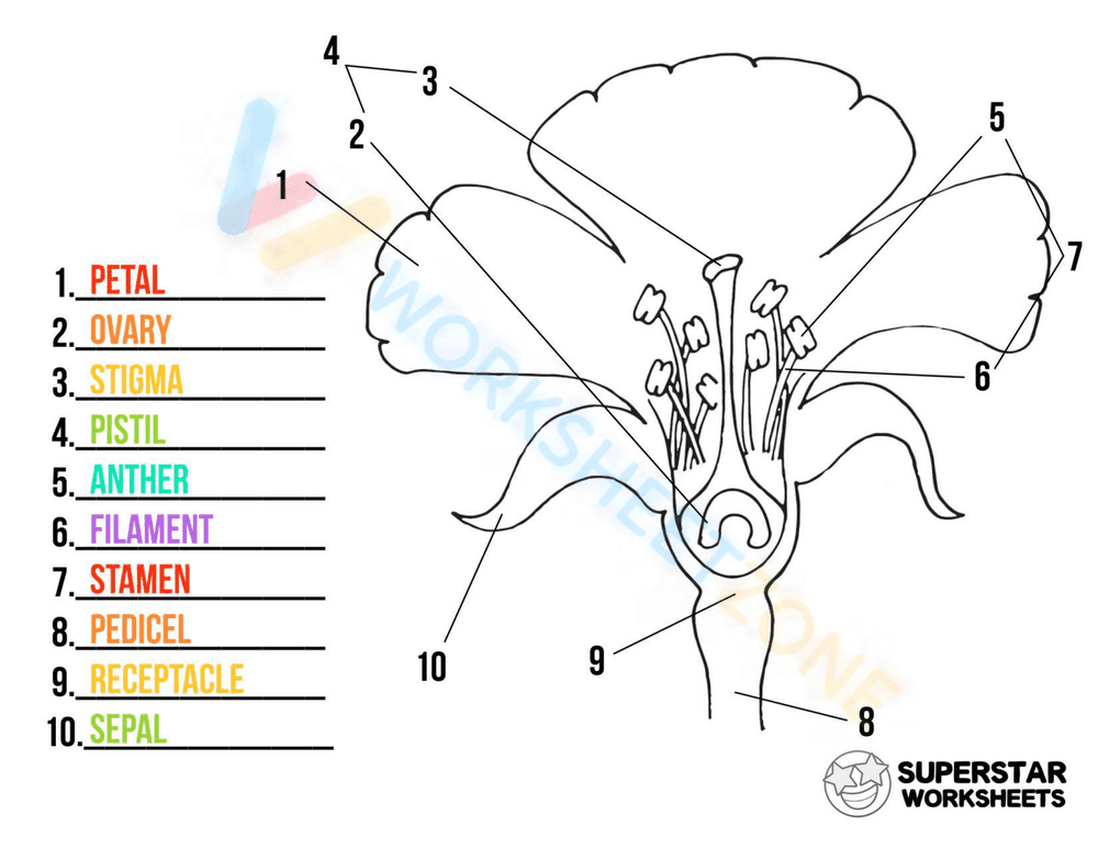 Flower chart - Page 1