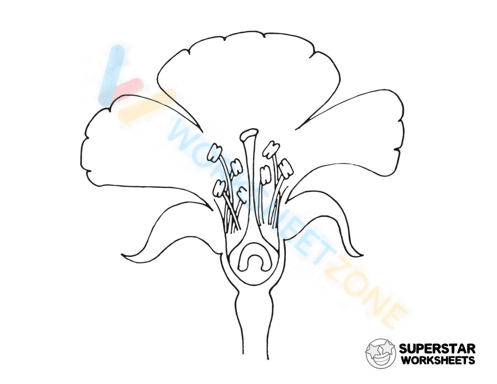 Flower Coloring Page - Page 1