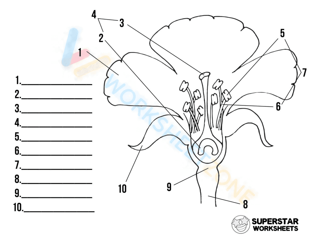 Flower Labeling Sheet - Page 1