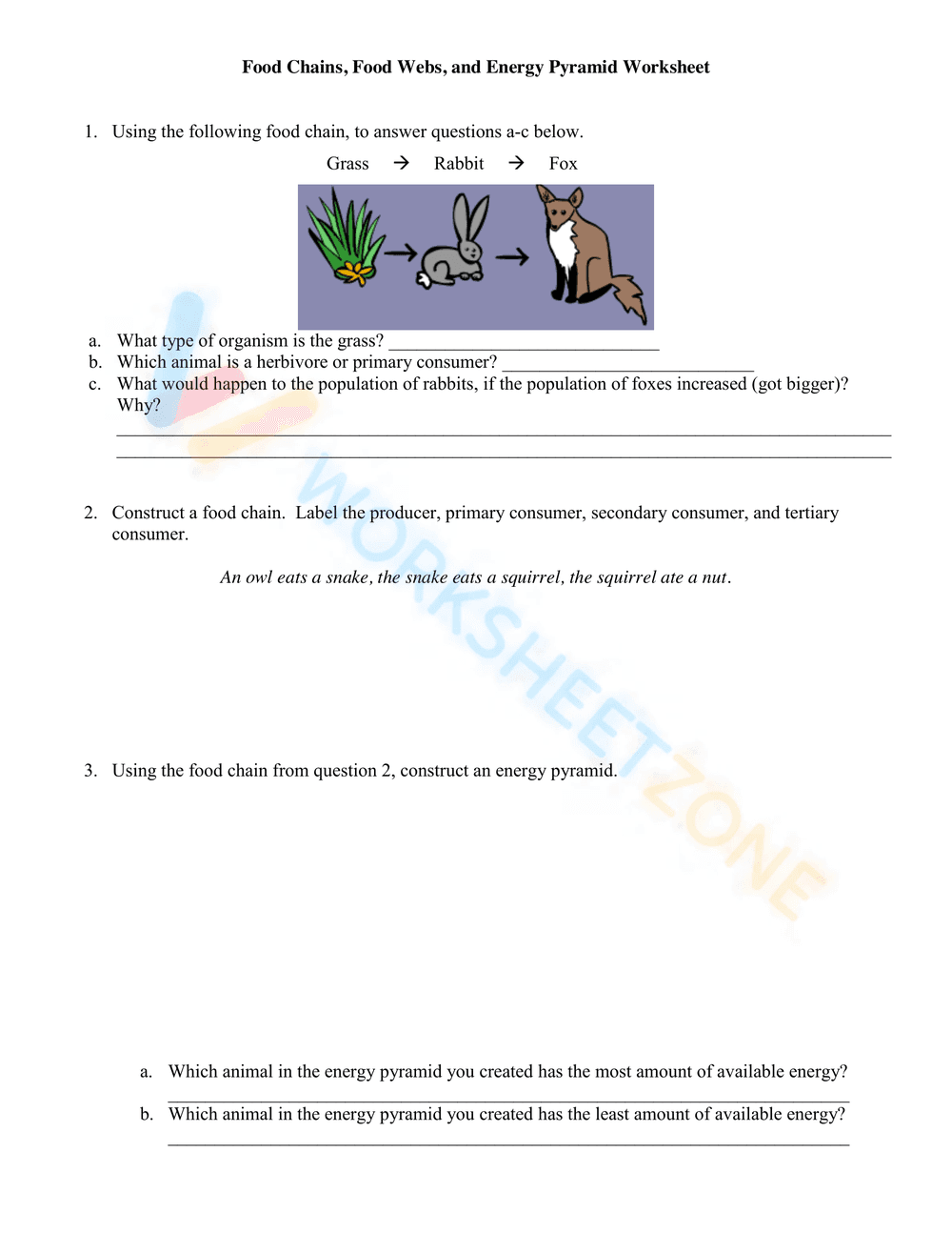Explore Food Chains, Webs, and Energy Pyramids Worksheet - Page 1