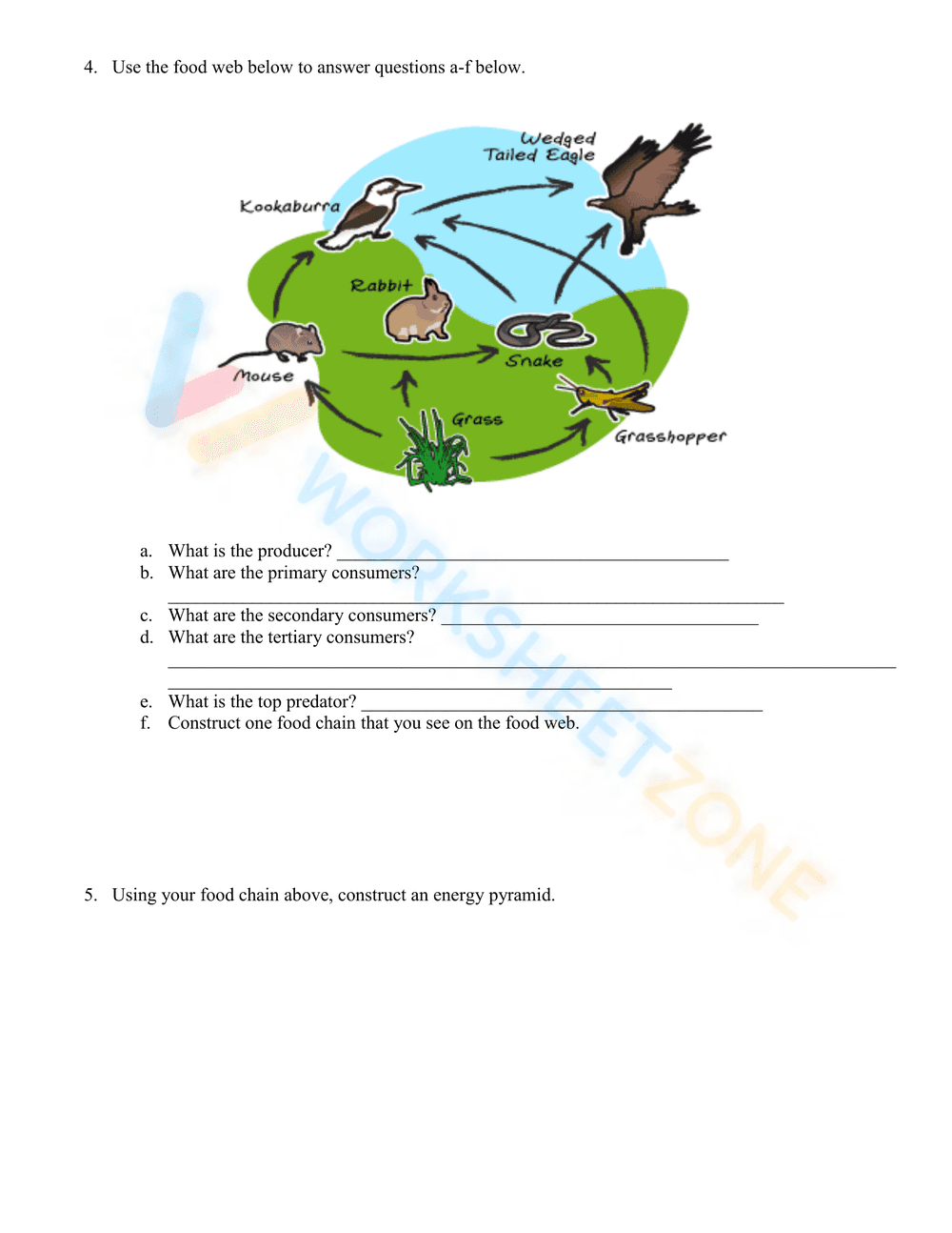 Explore Food Chains, Webs, and Energy Pyramids Worksheet - Page 2