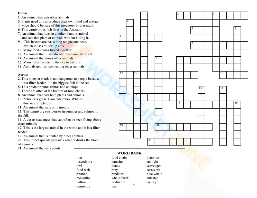 Explore Food Chains, Webs, and Energy Pyramids Worksheet - Page 10
