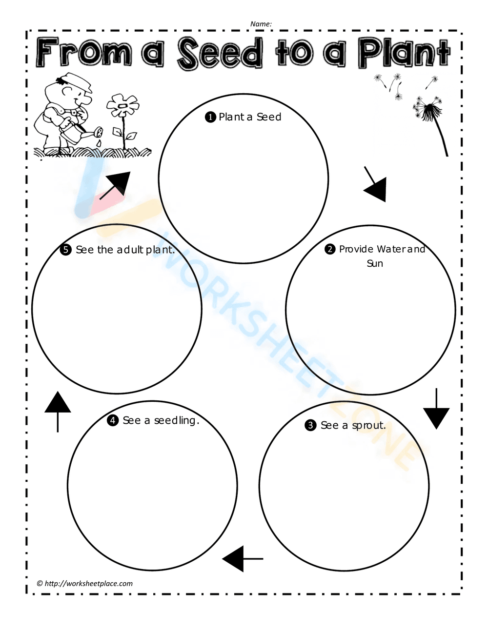 From a Seed to a Plant - Page 1