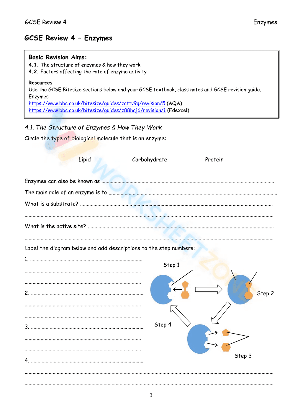 GCSE Review 4 – Enzymes - Page 1
