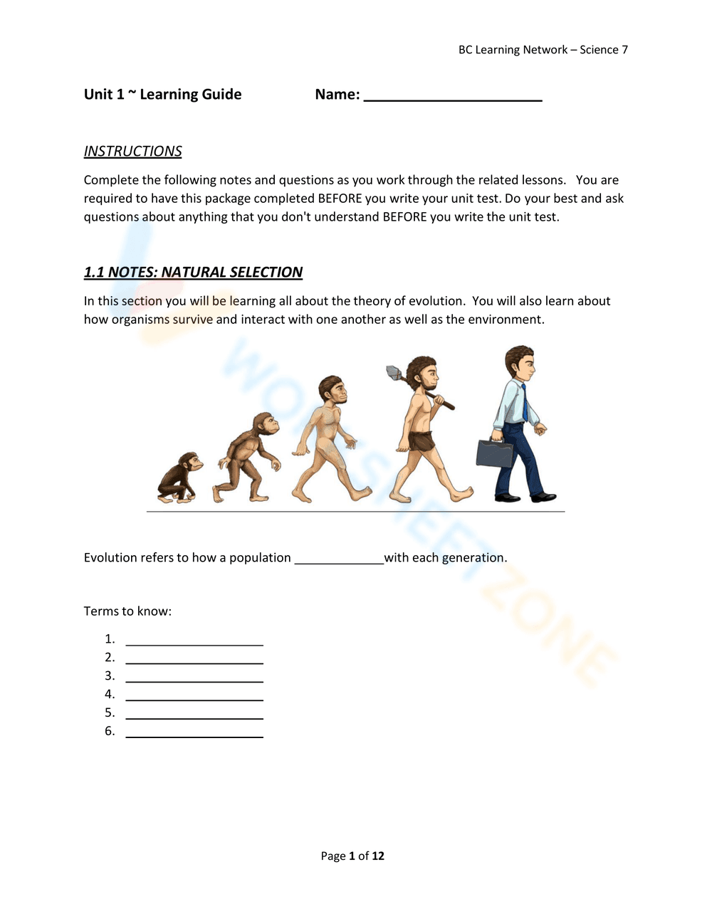 Understand Natural Selection with this Detailed Worksheet - Page 8