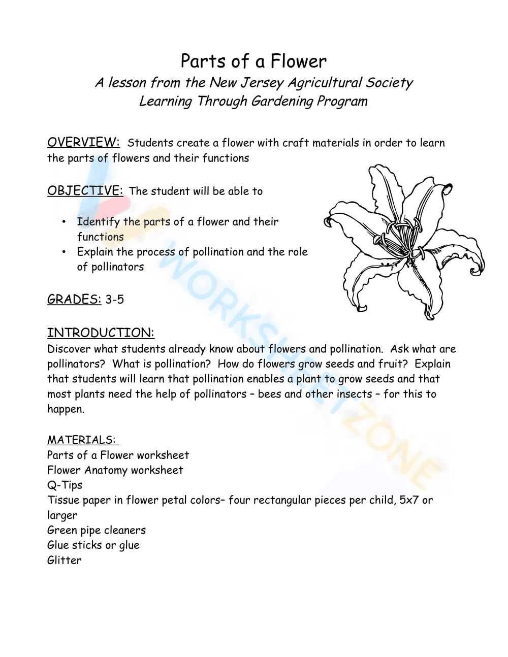 Parts of a flower - New Jersey - Page 1