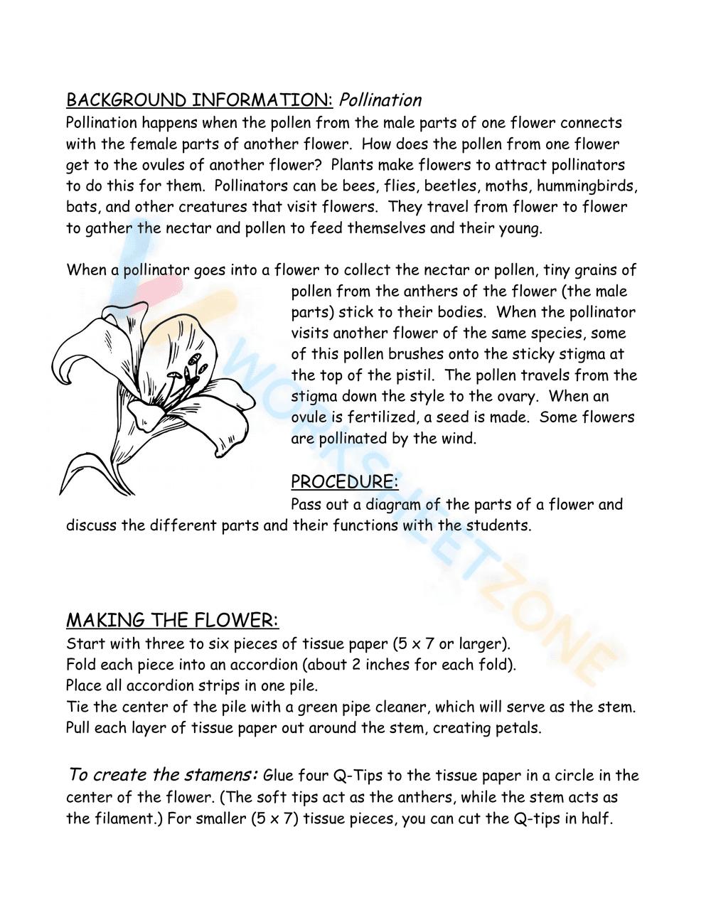 Parts of a flower - New Jersey - Page 3