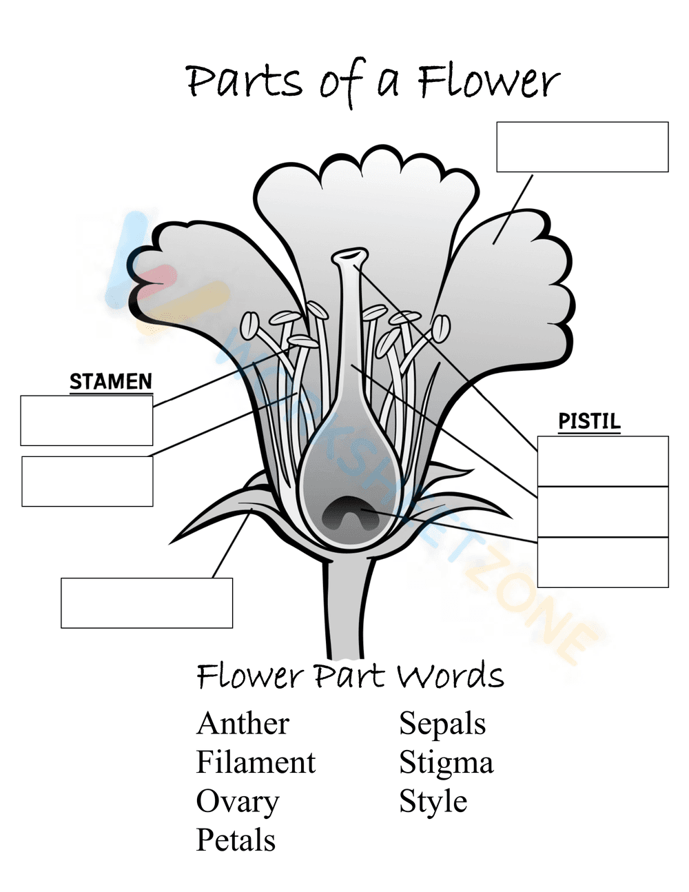 Learn Parts of a Flower with this Detailed Worksheet - Page 1