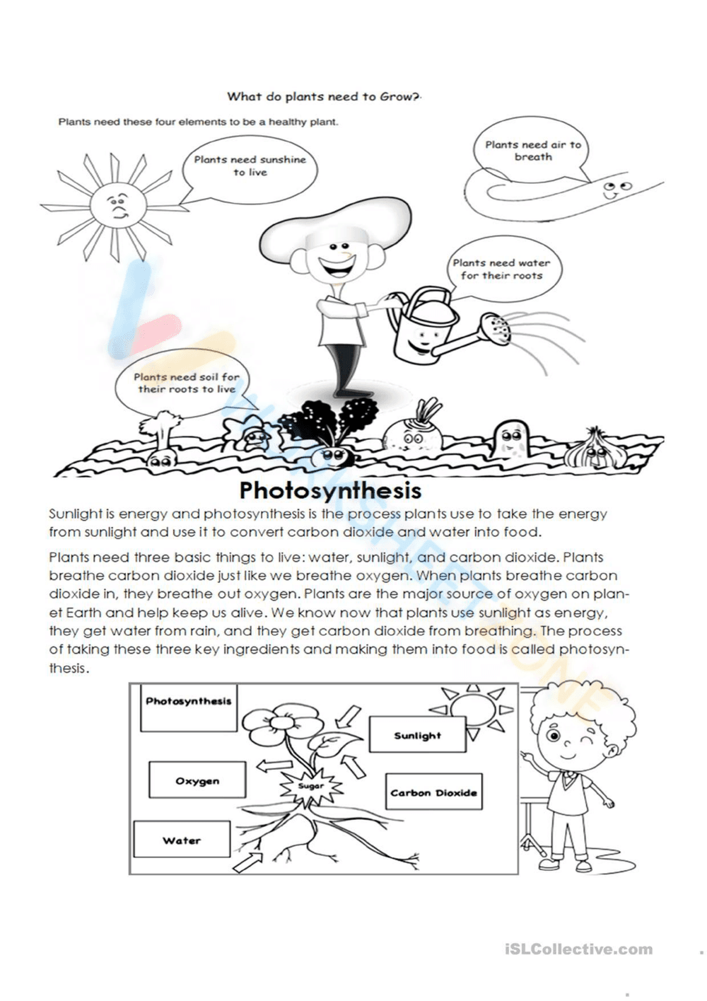Photosynthesis Reading and Diagram for Young Learners - Page 1
