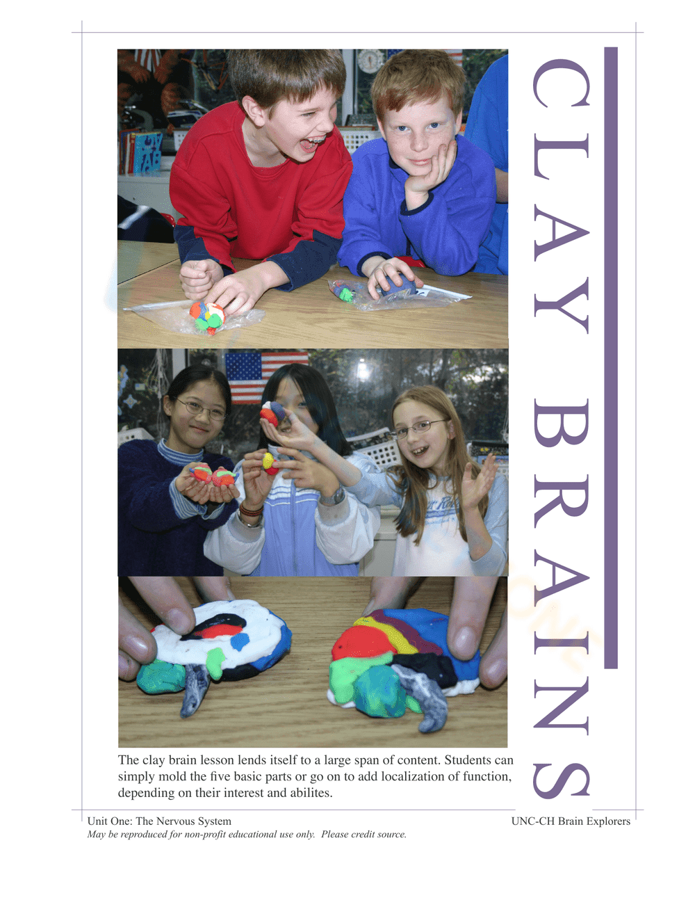 THE NERVOUS SYSTEM BOOKLET - Page 11