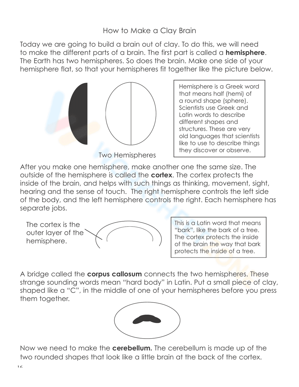 THE NERVOUS SYSTEM BOOKLET - Page 14