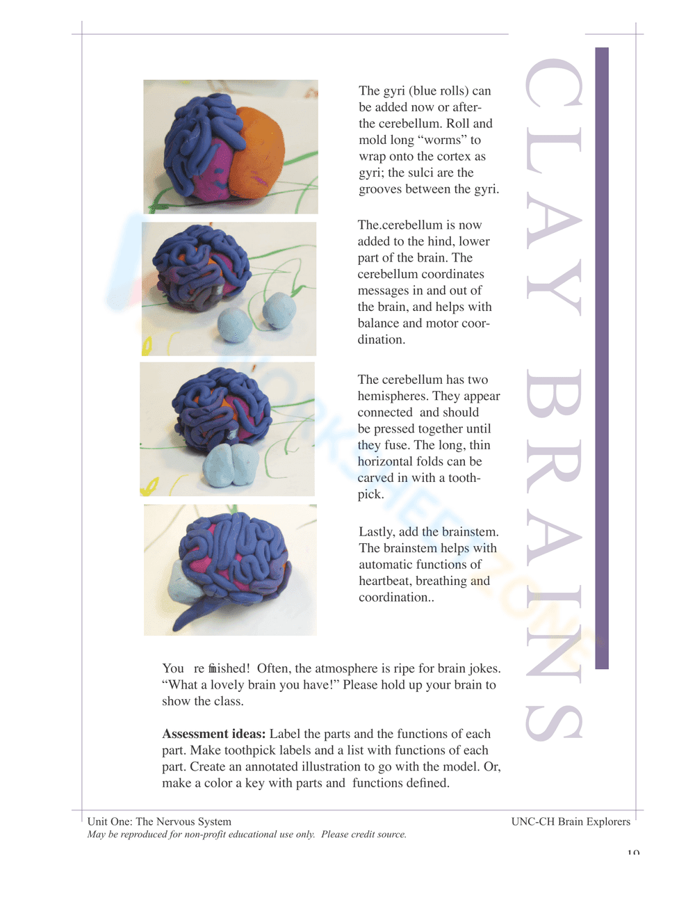 THE NERVOUS SYSTEM BOOKLET - Page 17