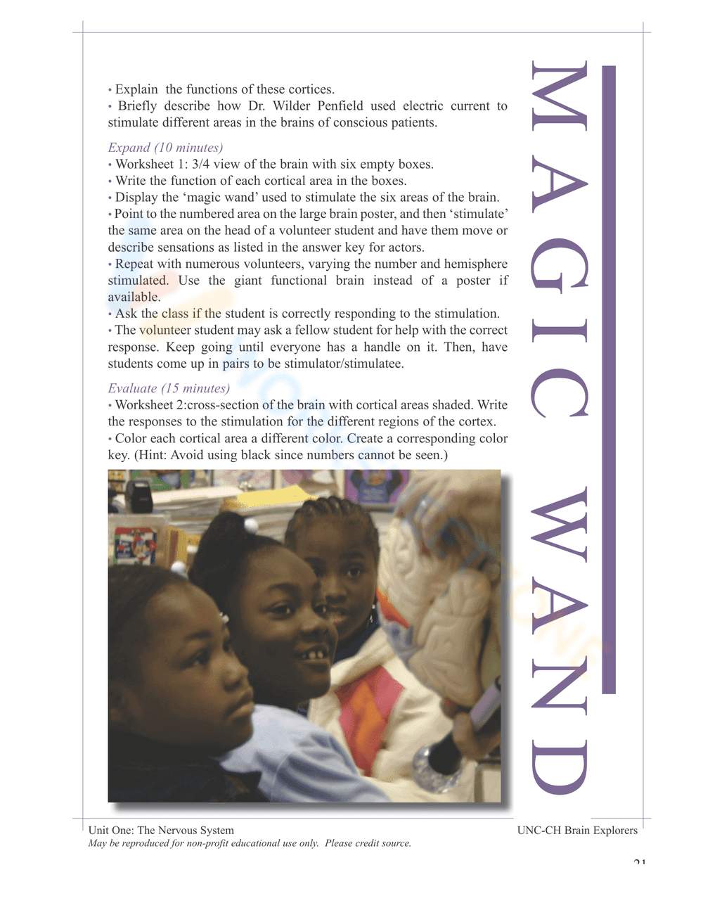 THE NERVOUS SYSTEM BOOKLET - Page 19