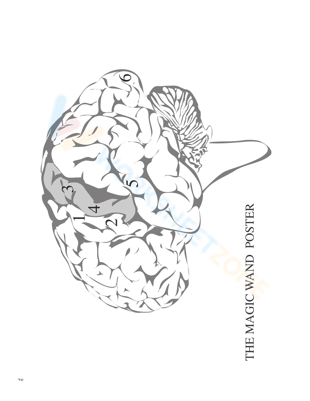 THE NERVOUS SYSTEM BOOKLET - Page 26