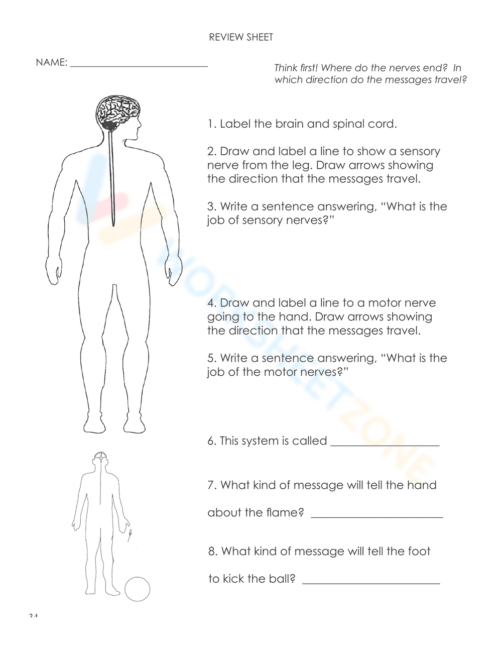 THE NERVOUS SYSTEM BOOKLET - Page 32