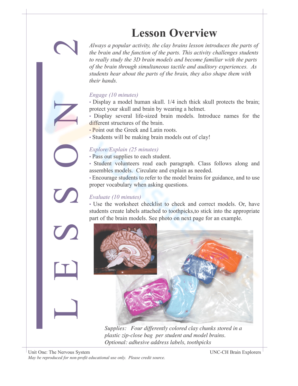 THE NERVOUS SYSTEM BOOKLET - Page 10