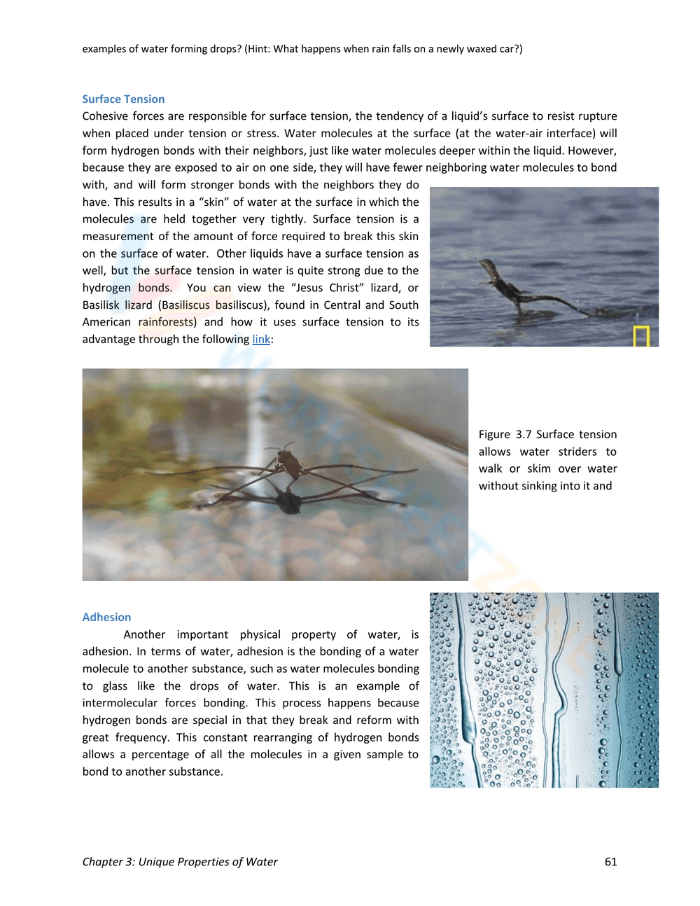 Unique Properties of Water - Page 5