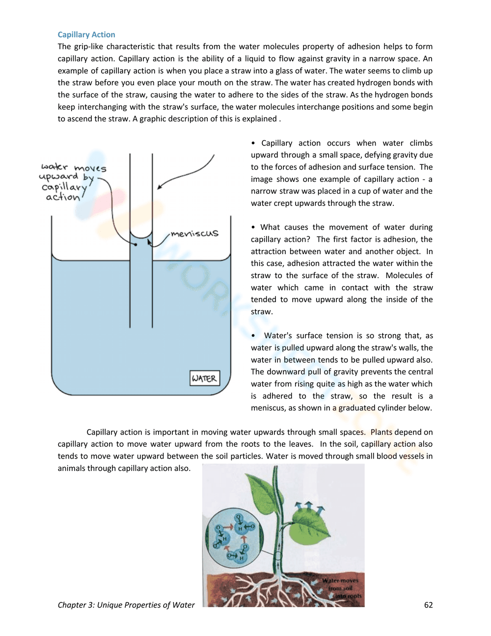 Unique Properties of Water - Page 6