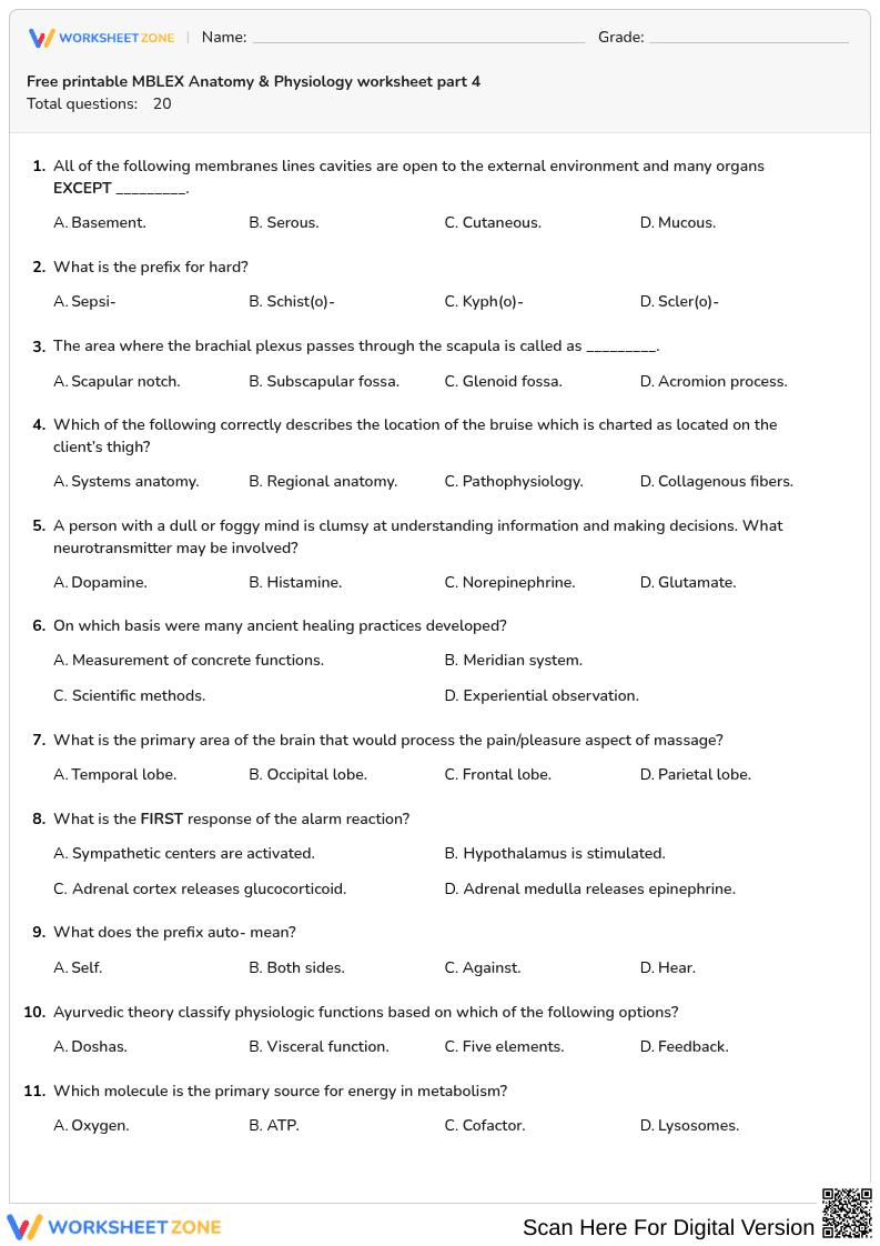 Free printable MBLEX Anatomy & Physiology worksheet part 4