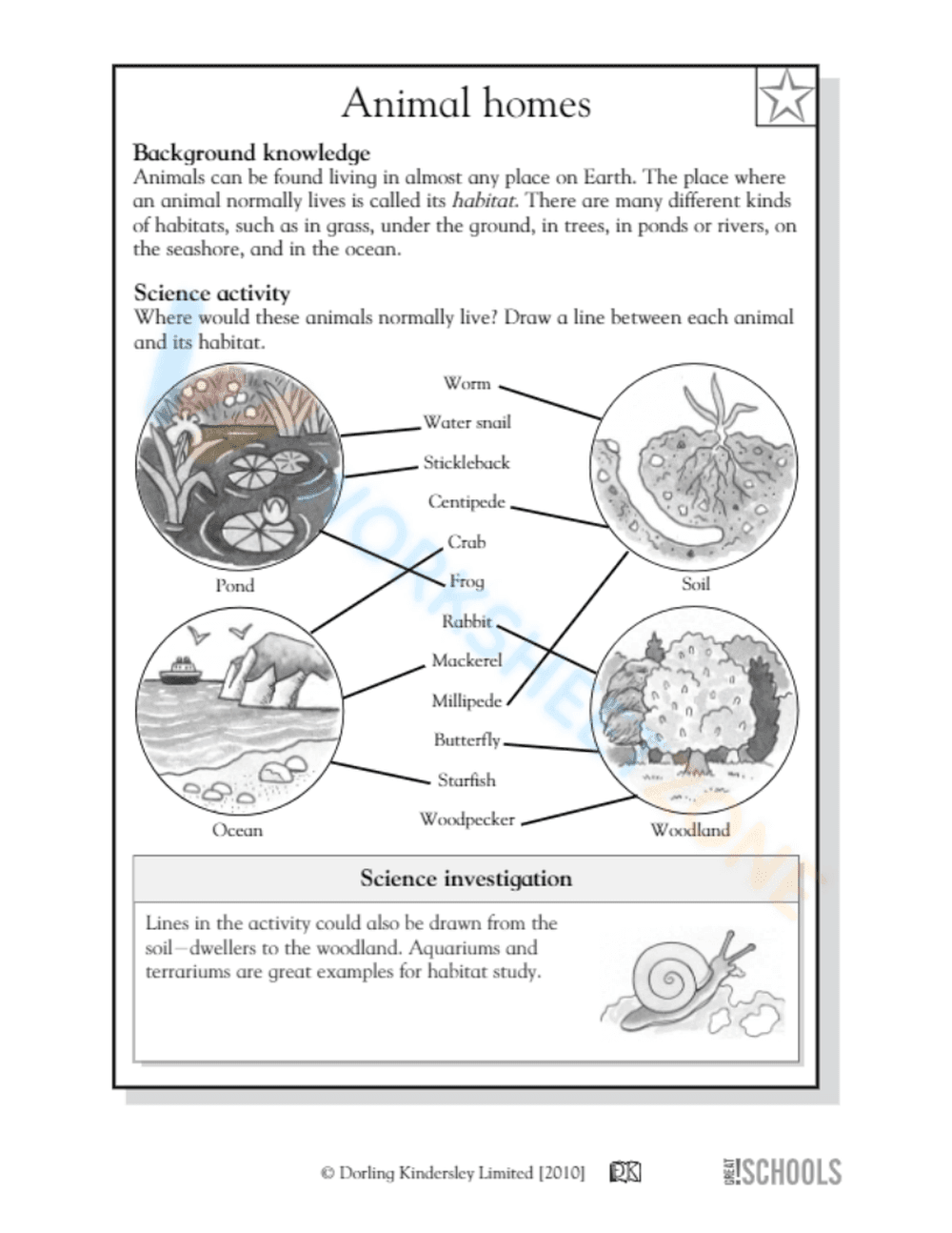 Animal homes 2 - Page 2