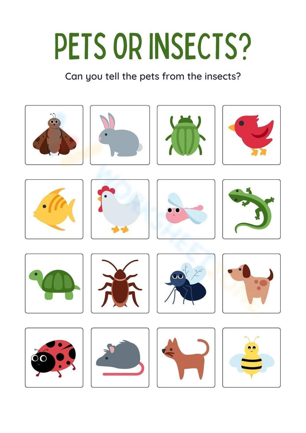 Pets or Insects Sorting Worksheet - Page 1