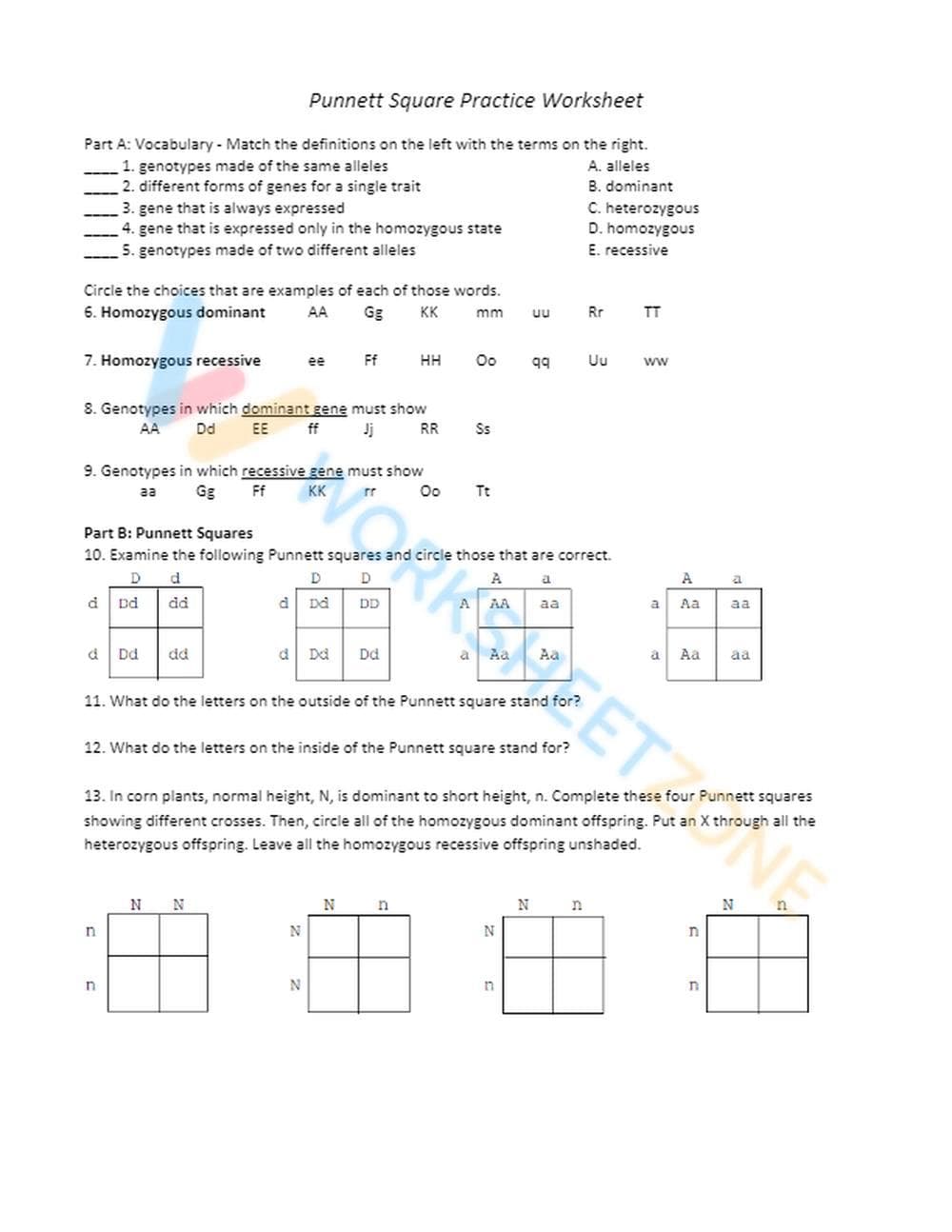punnett square practice 1 - Page 1