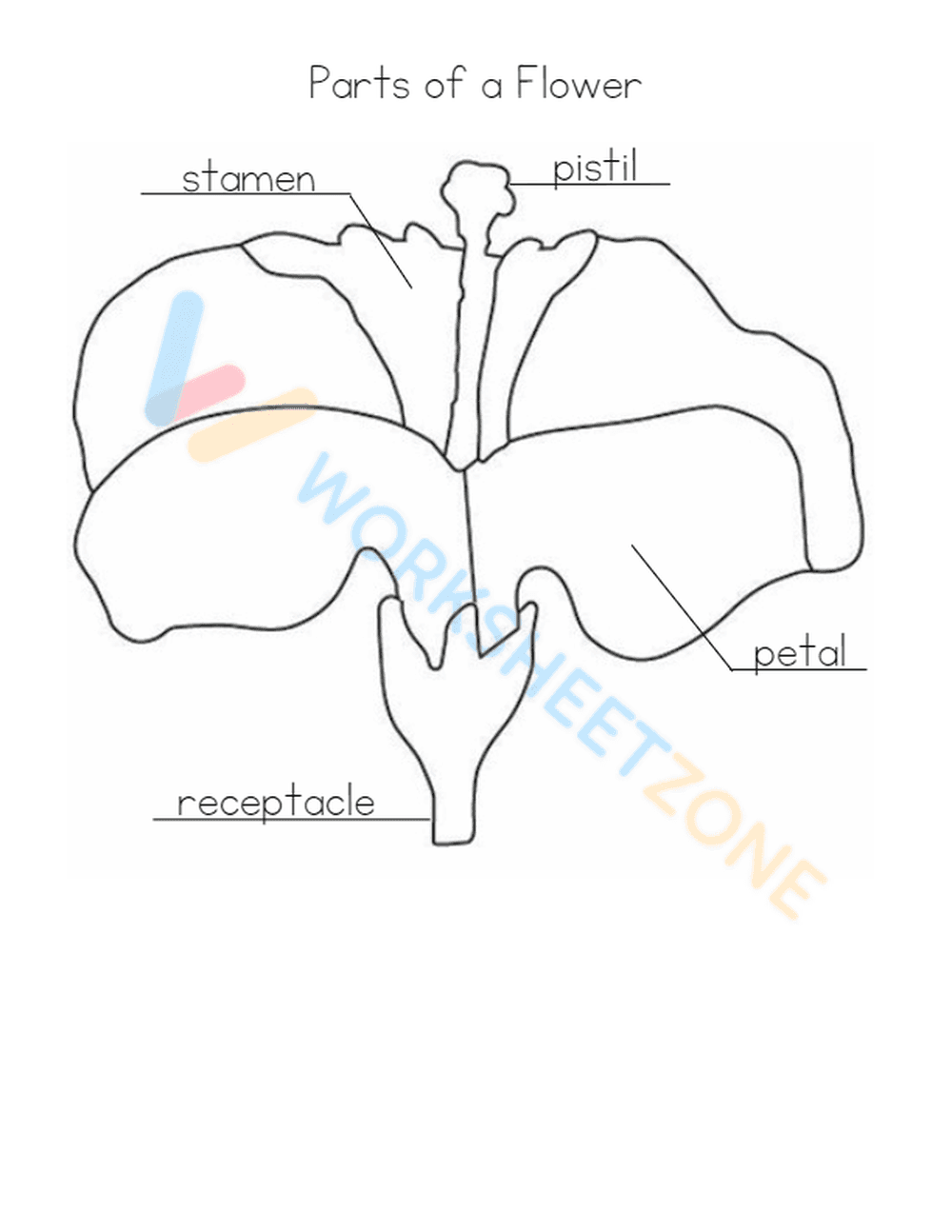 parts of a flower 6 - Page 1