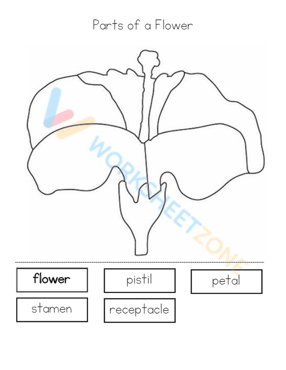 parts of a flower 6 - Page 2