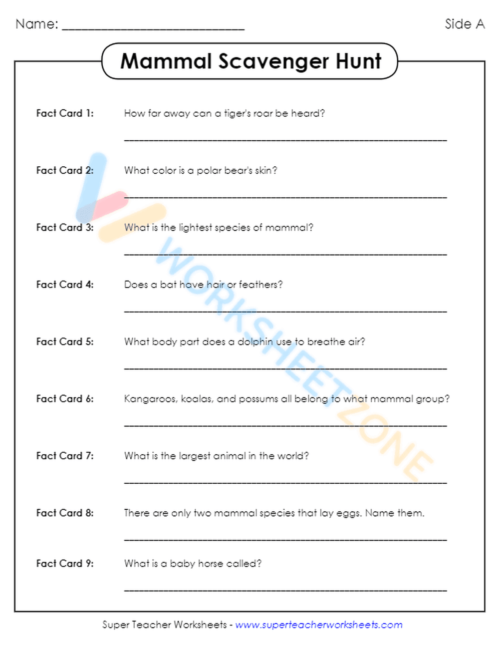 animal classification 2 - Page 2