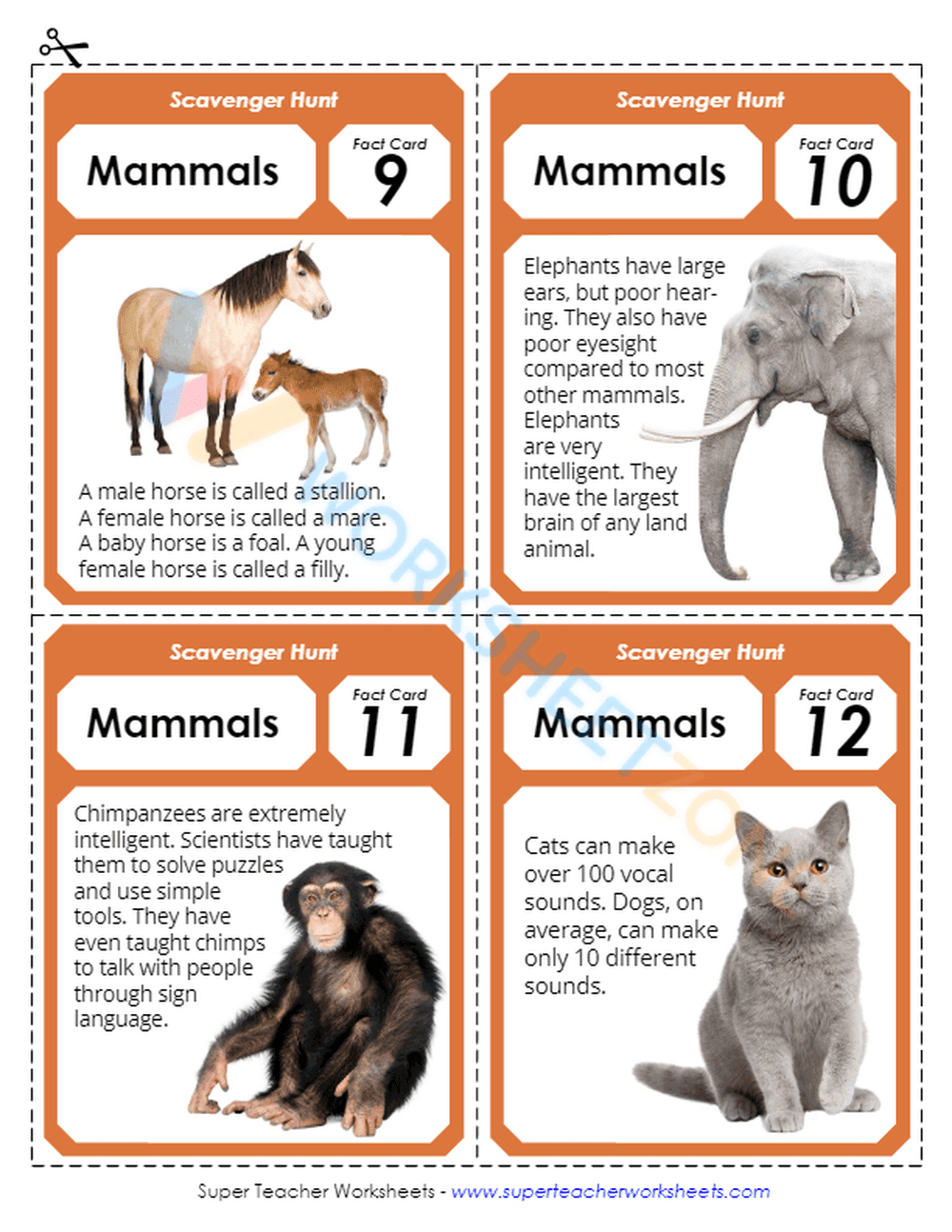 animal classification 2 - Page 6